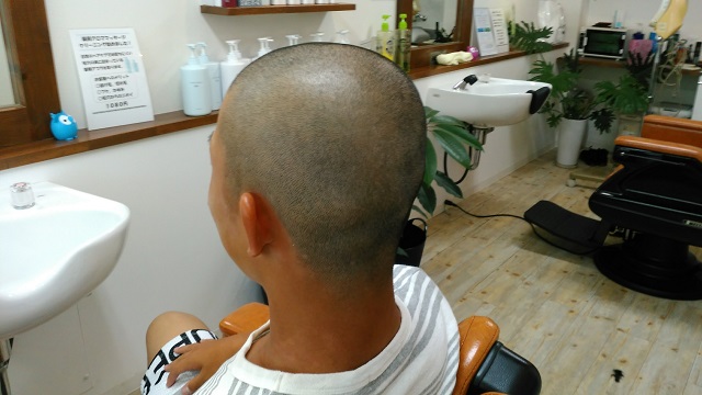 がんばれ高校球児